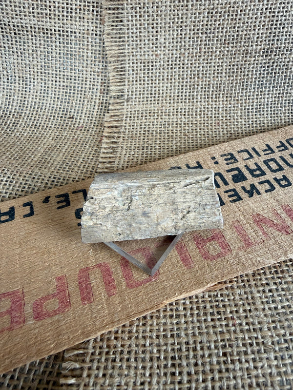 Petrified Wood